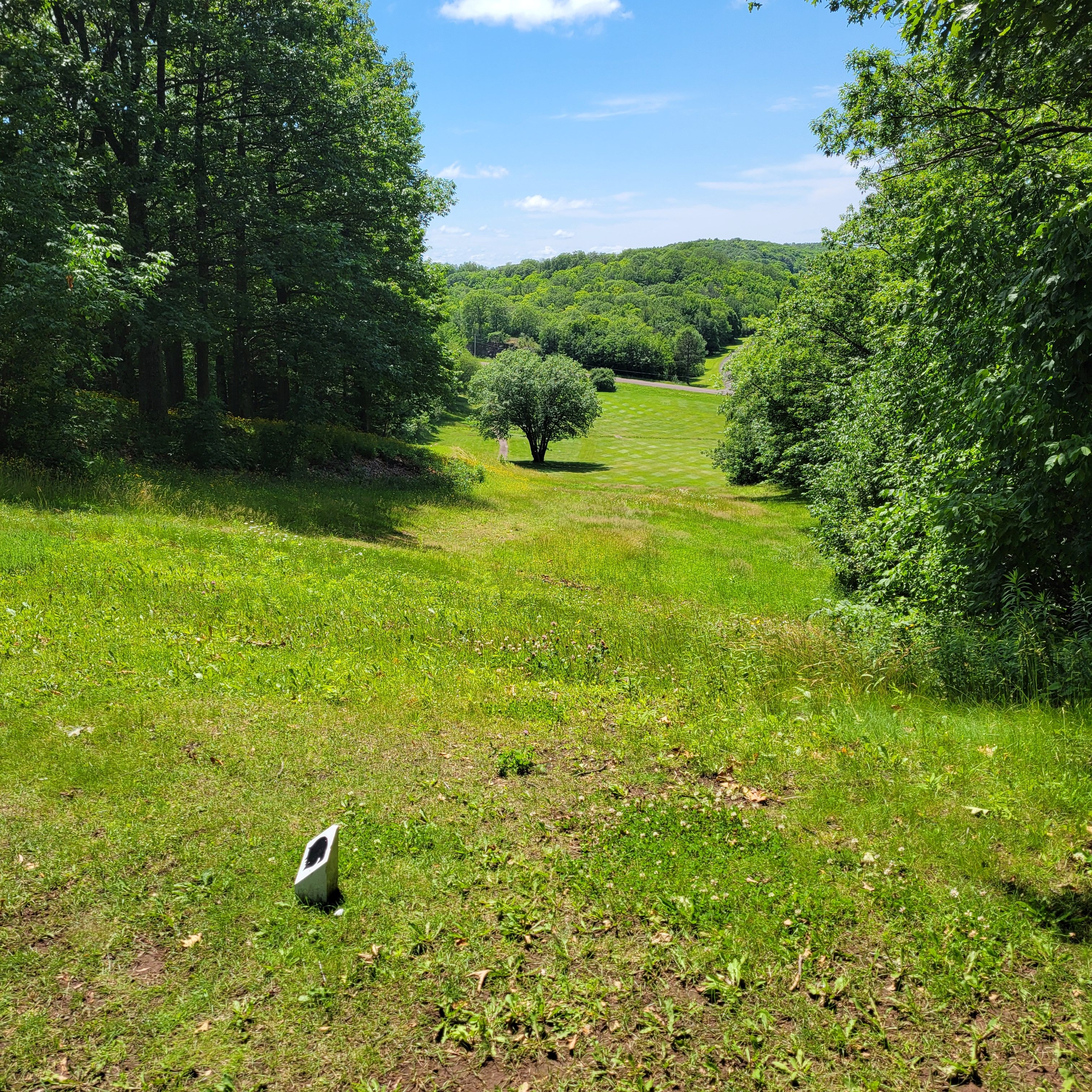 Image of golf ball on tee on grass.