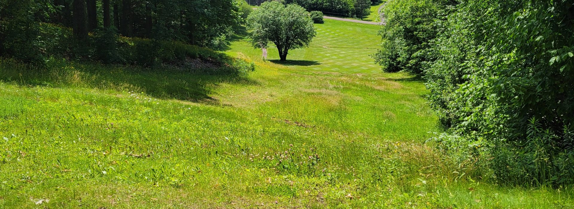 Hole 1 of golf course